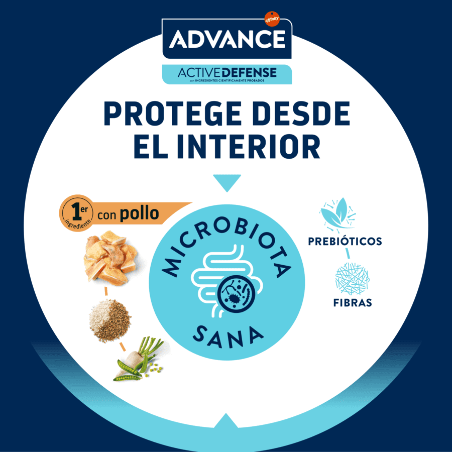 12 kg (10 + 2 kg &iexcl;gratis!) Advance Adult Pollo y Arroz pienso para gatos, , large Imagen numero 6